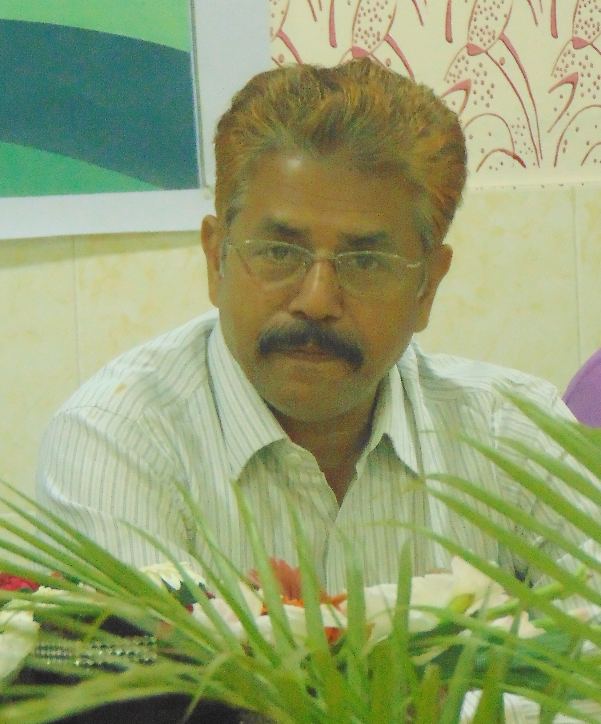 DSC00251